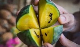 朝阳号外官网免费吃瓜